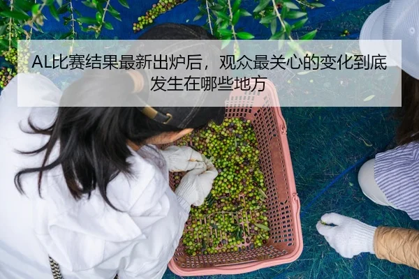AL比赛结果最新出炉后，观众最关心的变化到底发生在哪些地方
